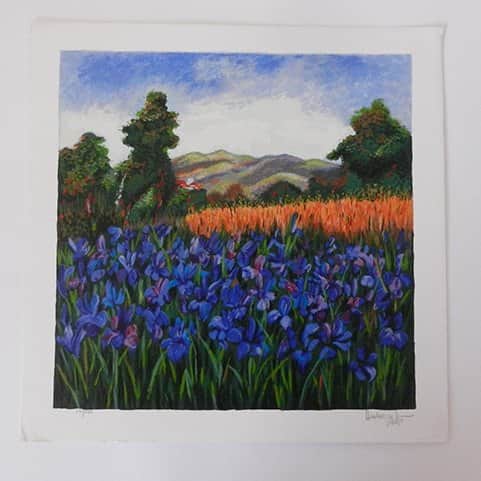 שדה בסגול - הדי קון