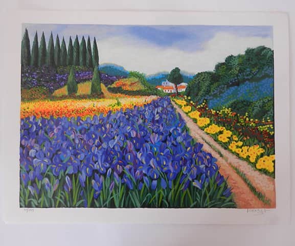 שדה פרחים מאת הדי קון - ליטוגרפיות | גלריה רעות