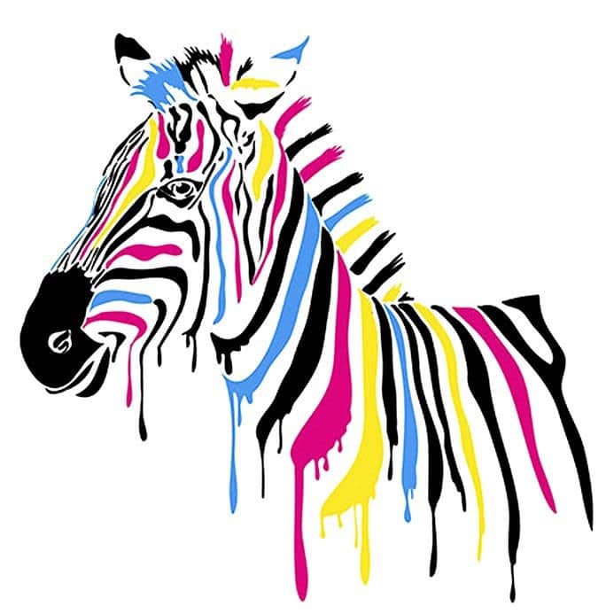 הסוס הצבעוני 1 מאת הדפסה על קנבס - הדפסות על קנבס | גלריה רעות