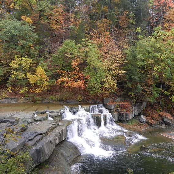 פלגי מיים מאת הדפסה על קנבס - הדפסות על קנבס | גלריה רעות