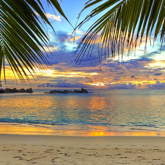 שקיעה מאת הדפסה על קנבס - הדפסות על קנבס | גלריה רעות