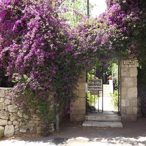 בית בעין כרם מאת הדפסה על קנבס - הדפסות על קנבס | גלריה רעות