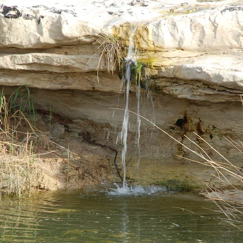 מפל בדרום מאת הדפסה על קנבס - הדפסות על קנבס | גלריה רעות