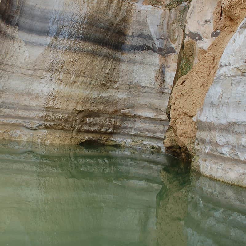 בריכת מיים מאת הדפסה על קנבס - הדפסות על קנבס | גלריה רעות