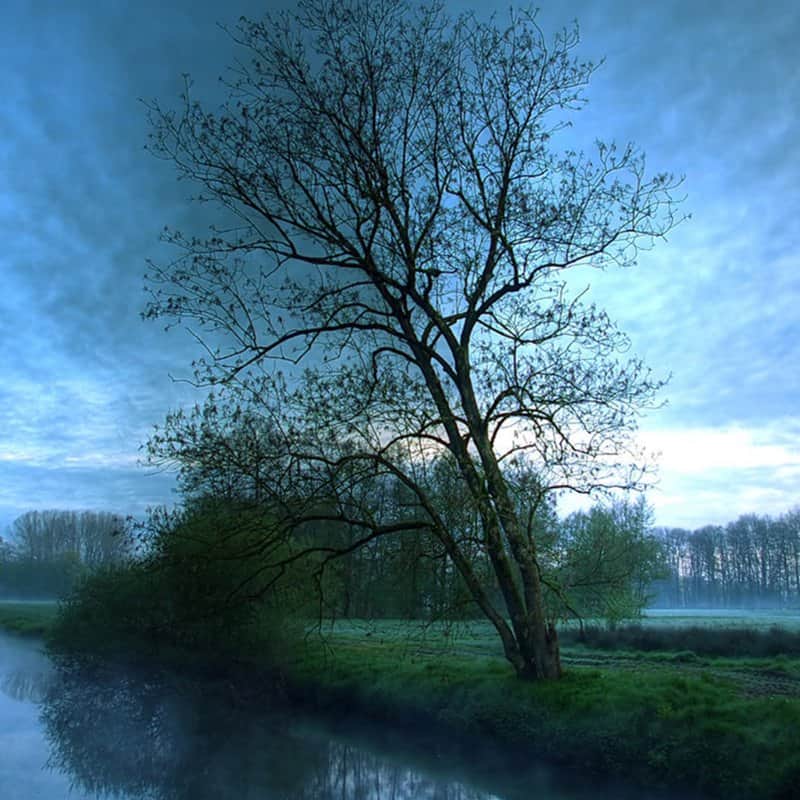 החורף מאת הדפסה על קנבס - הדפסות על קנבס | גלריה רעות