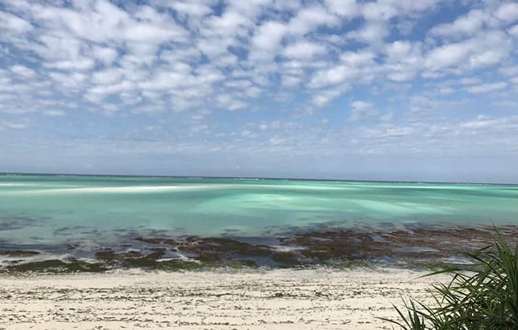 שלווה בחוף מאת הדפסה על קנבס - הדפסות על קנבס | גלריה רעות