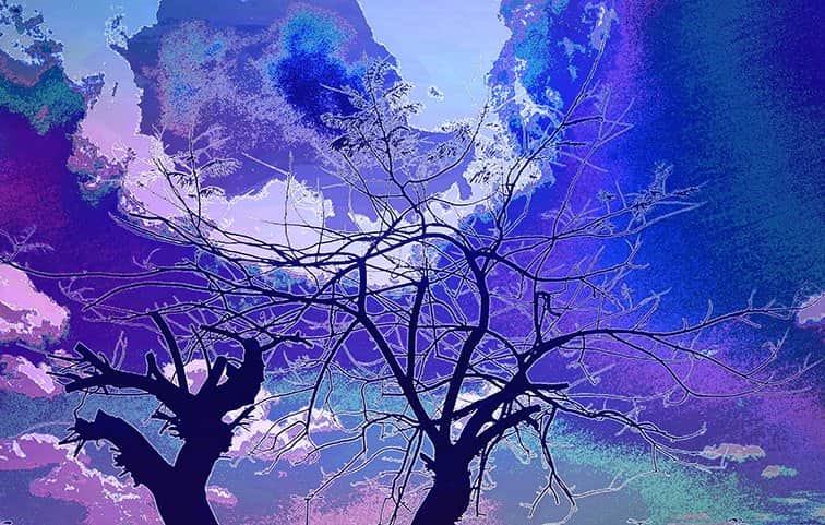 עצים סגולים מאת הדפסה על קנבס - הדפסות על קנבס | גלריה רעות