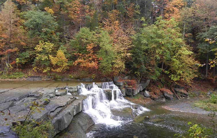יובלי מיים מאת הדפסה על קנבס - הדפסות על קנבס | גלריה רעות
