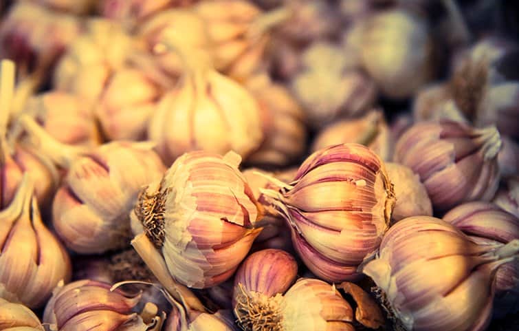 השום מאת הדפסה על קנבס - הדפסות על קנבס | גלריה רעות