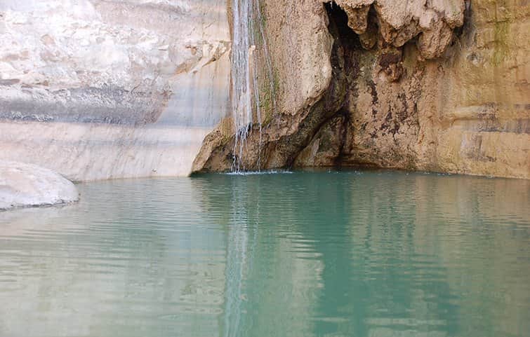 נחל במדבר מאת הדפסה על קנבס - הדפסות על קנבס | גלריה רעות