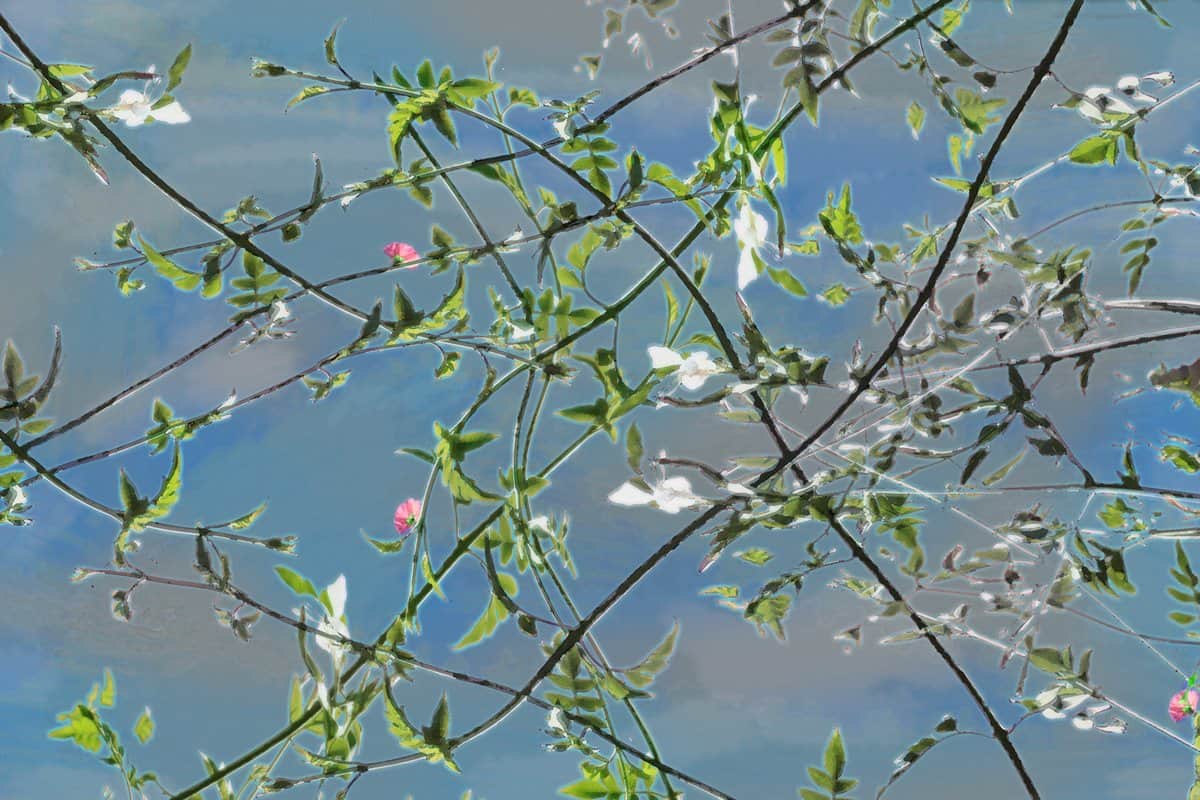 בהשראת ונגוך2 מאת הדפסה על קנבס - הדפסות על קנבס | גלריה רעות