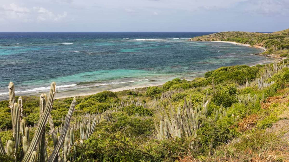 ירוק בחוף מאת הדפסה על קנבס - הדפסות על קנבס | גלריה רעות