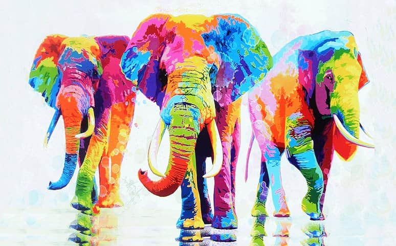 פיליפ צבעוניים מאת הדפסה על קנבס - הדפסות על קנבס | גלריה רעות